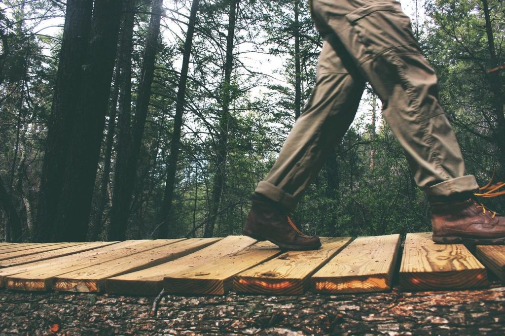 A picture of me walking on a bridge at Sciota Grove Metro Park